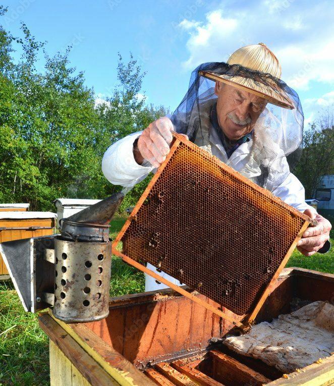 Wir über Uns - Horst Hefrter