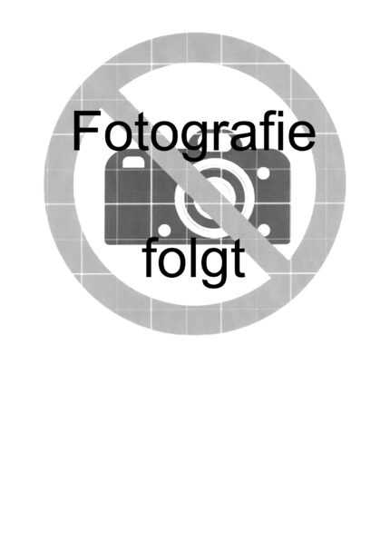 Dany's BienenWohl® 500g